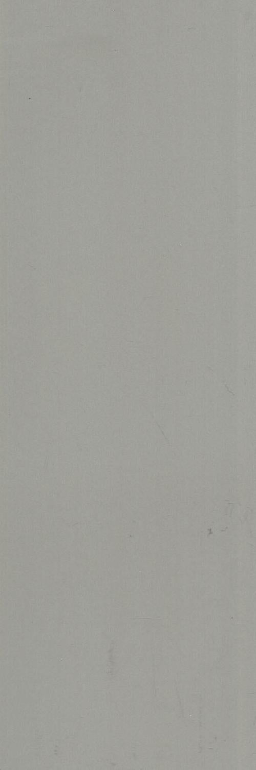 13BC1 (OF031) ENTRANCE GLOSS GREY 100X300